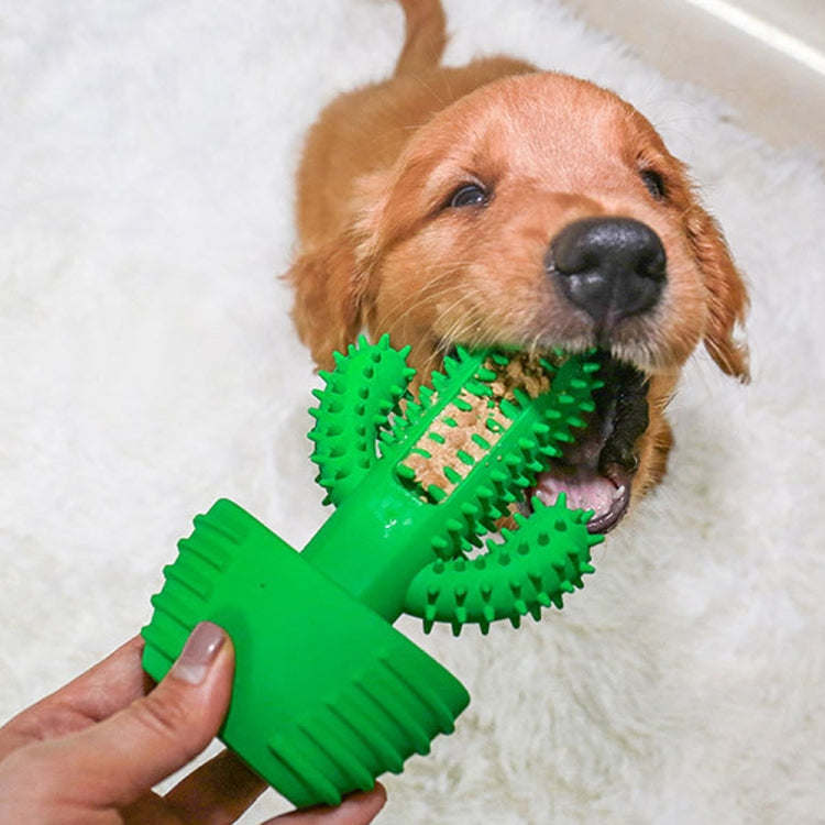 Green cactus toothbrush-style dog dental toy held near a dog’s mouth