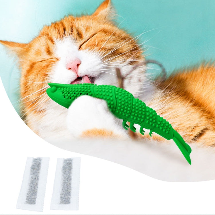 Green fish-shaped cat teething toy with chew prongs, used by sleeping cat