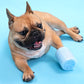 Pet foot cleaning cup with blue container used to clean a dog paw