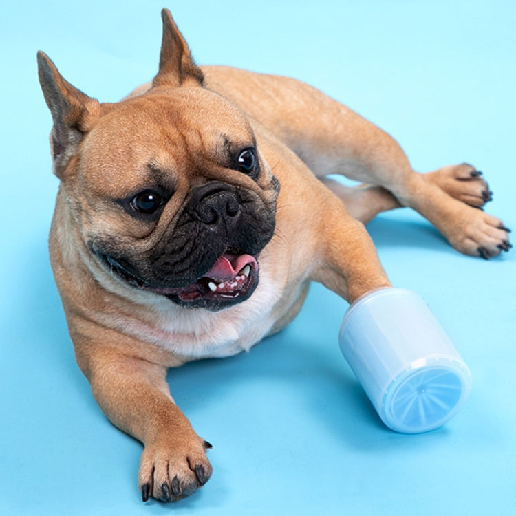 Pet foot cleaning cup with blue container used to clean a dog paw