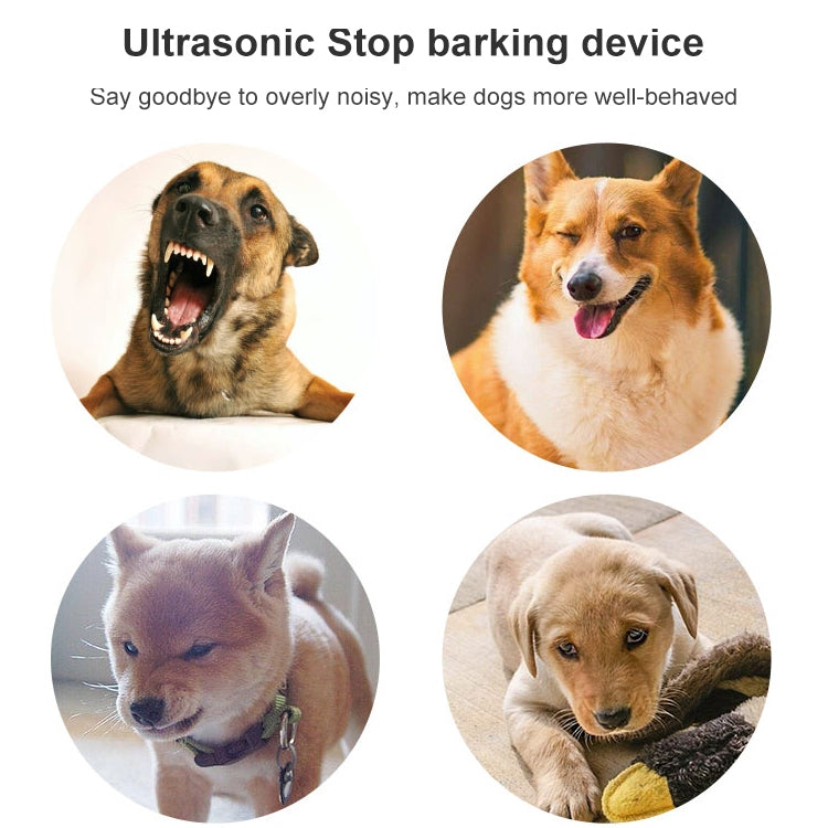 Collage of four dogs with bark-stopping training theme