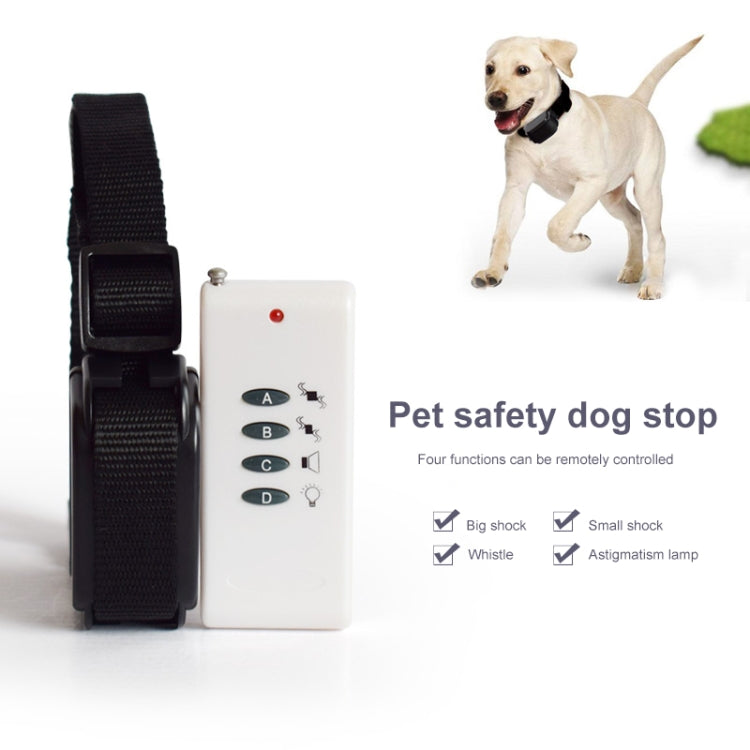 White remote control with black collar strap next to a running dog