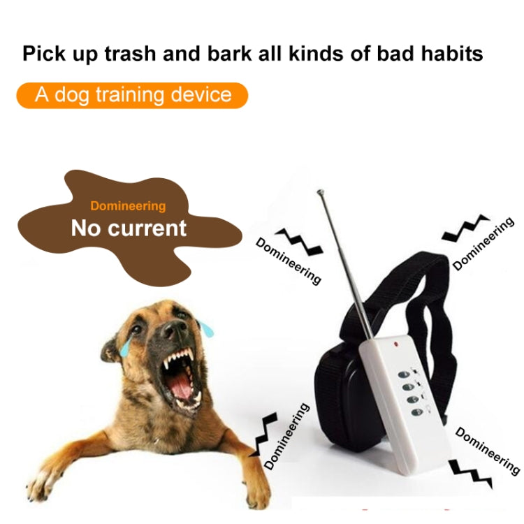 White dog training remote control with black collar strap and shock control icons