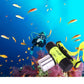 Lime green diving LED flashlight with black handle and silver beam module