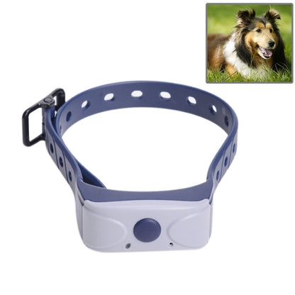 Automatic anti-bark pet collar with blue strap and white control module, buckle attached