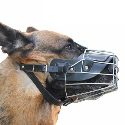 Steel wire dog basket muzzle with black leather straps, worn on a dark muzzle