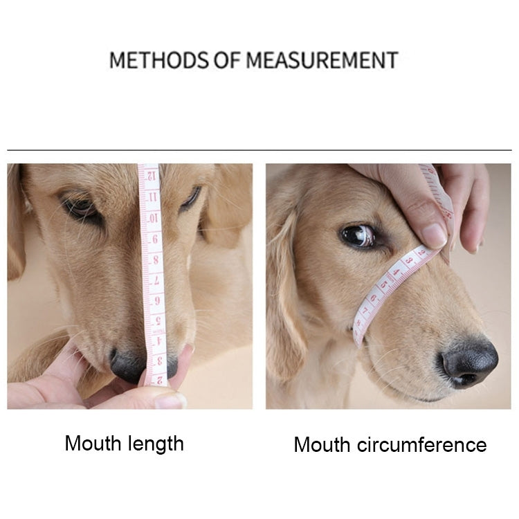 Dog fit measuring guide showing mouth length and mouth circumference on a tan dog