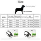 Muzzle size chart with dog silhouette for neck circumference and mouth measurements