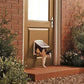 Installed white pet door with transparent flap in a house wall