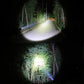 Zoom LED flashlight with strong circular beam illuminating plants at night