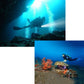 Underwater diver swimming with a bright handheld light near coral and rocks