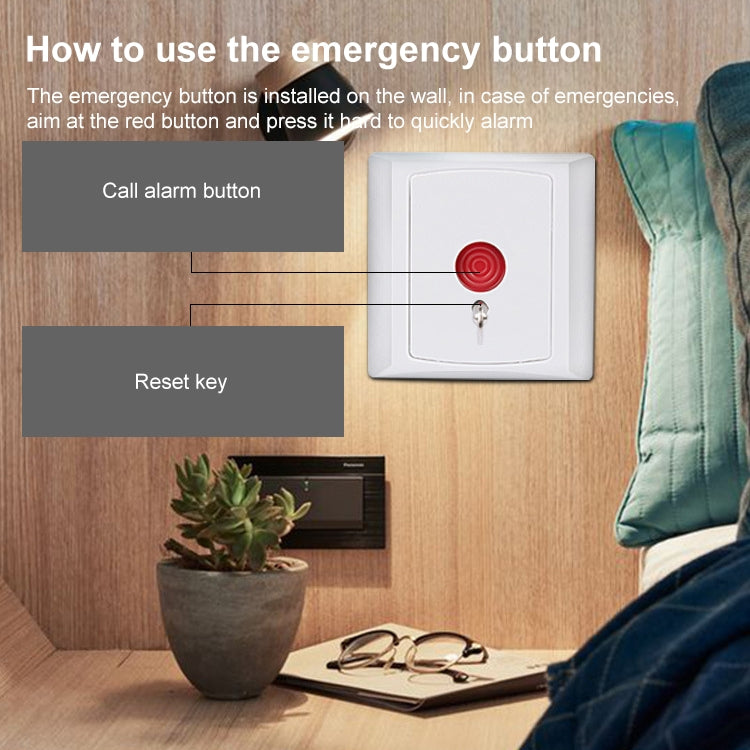 Wall-mounted emergency panic button unit with red button and hanging key