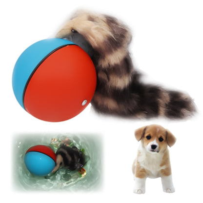 Motorized rolling chase ball toy with blue and red shell, being chased by a dog