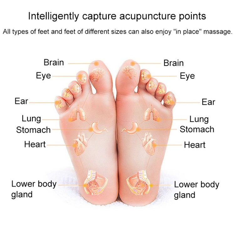 Acupressure point map diagram on both feet for EMS foot massage