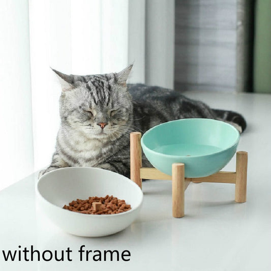 Teal and white elevated ceramic pet bowls on light wood stand for cat feeding.