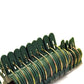 Row of dark green plant clips on a cardboard strip with gold spring prongs