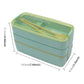 Green 3-layer bento lunch box with clear lid and 900 ml marking, rectangular shape