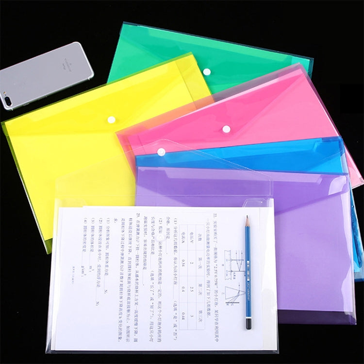 Multi-color clear A4 document folders with snap buttons and papers inside