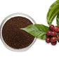 Ground coffee in stainless container with leaf garnish and red berries