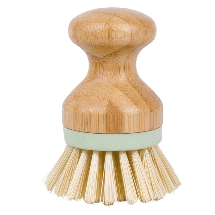 Wood dish scrubber brush with rounded handle, green band, cream bristles