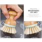 Wood dish scrubber brush shown from side and front, green band, cream bristles