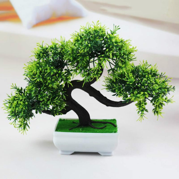Green pine desktop decoration bonsai tree in white planter with dark curved trunk