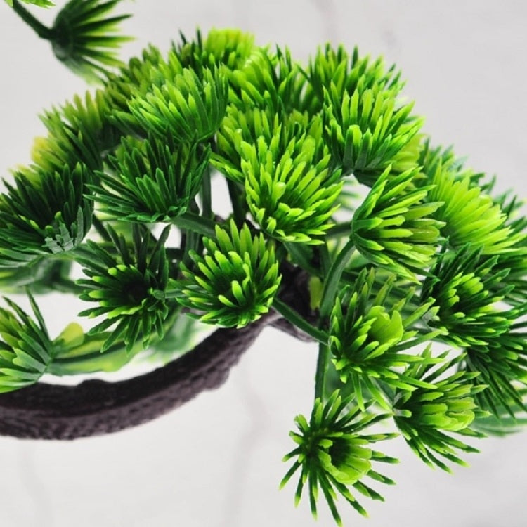 Bright green pine desktop decoration bonsai tree close-up on dark textured trunk