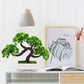 Green pine desktop decoration bonsai tree in white square planter with dark trunk
