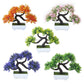 Assorted pine desktop decoration bonsai set with orange, pink, green, and purple trees