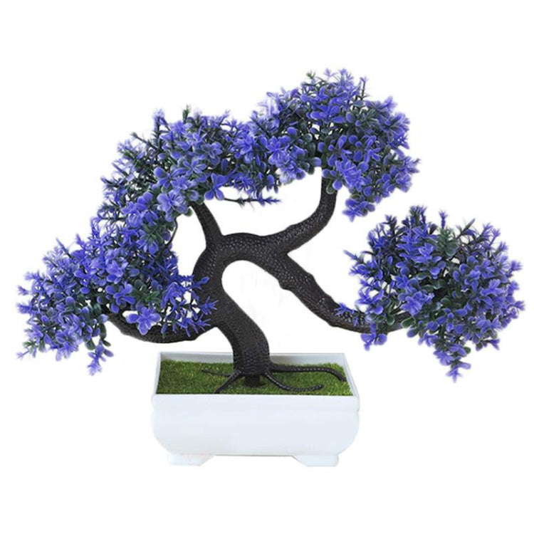 Purple pine desktop decoration bonsai tree in white planter with dark curved trunk