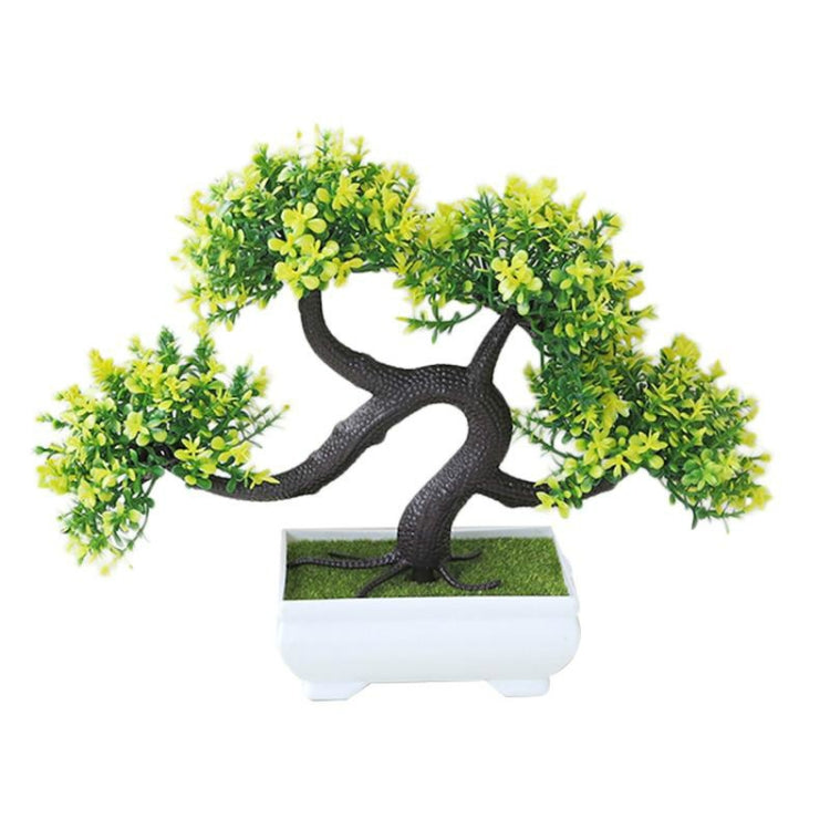 Yellow-green pine desktop decoration bonsai tree in white planter with dark curved trunk