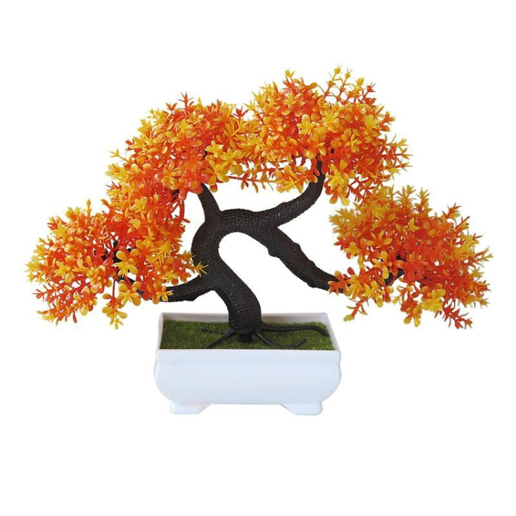 Orange pine desktop decoration bonsai tree in white planter with dark curved trunk