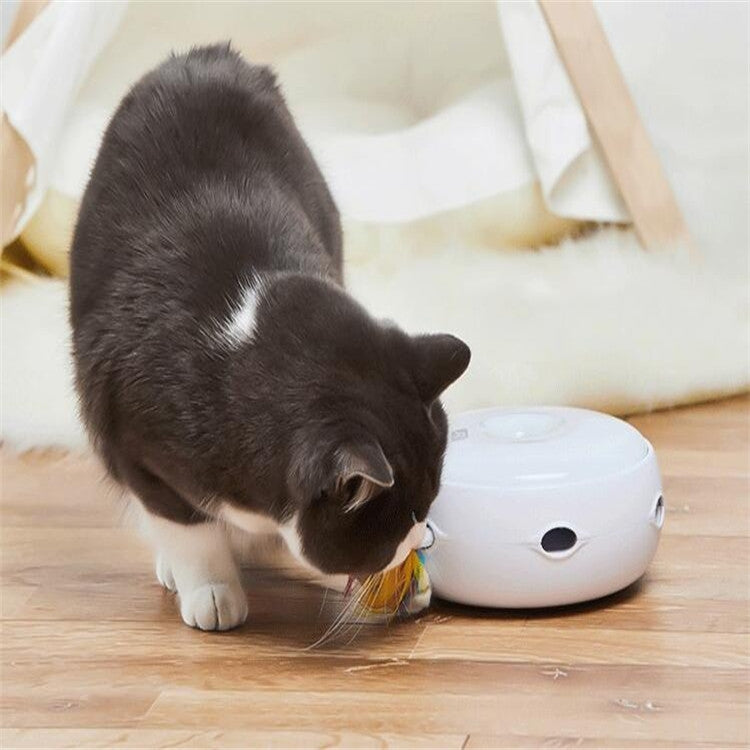 Gray cat playing with a white rotating pet toy next to a rainbow feather