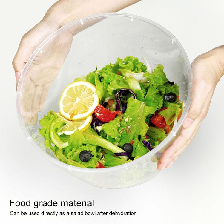 Clear bowl holding fresh salad ingredients, showing container for dehydrating