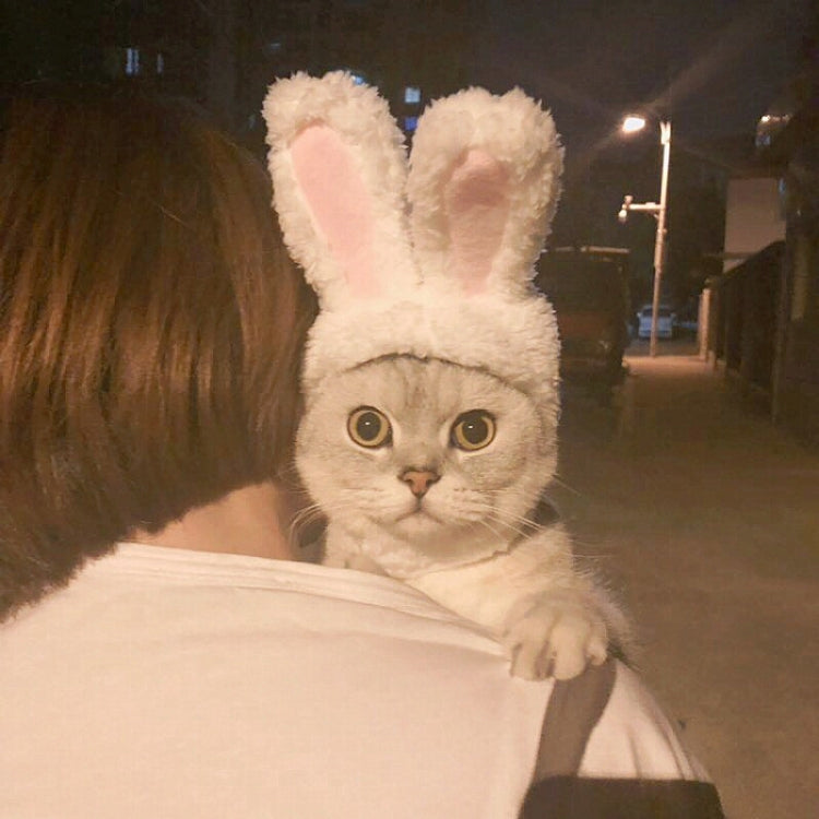 Fluffy white cat headgear with tall bunny ears, pink inner ear pads
