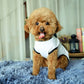 White paw-print dog vest with red heart and 'Love' text, short-sleeve style