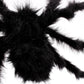 Close-up of black plush spider decoration with fuzzy legs and body