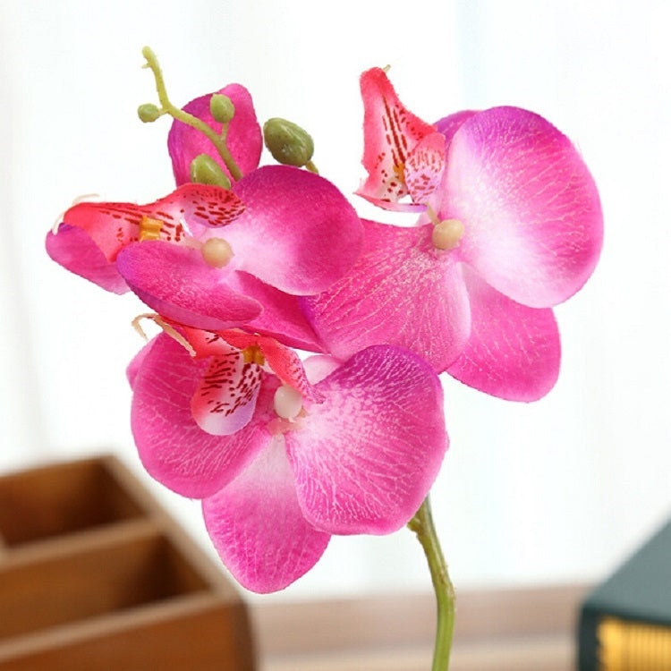 Pink faux Phalaenopsis orchid stem with multiple blossoms and green leaves