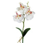 White faux Phalaenopsis orchid with red-speckled centers in a white round pot