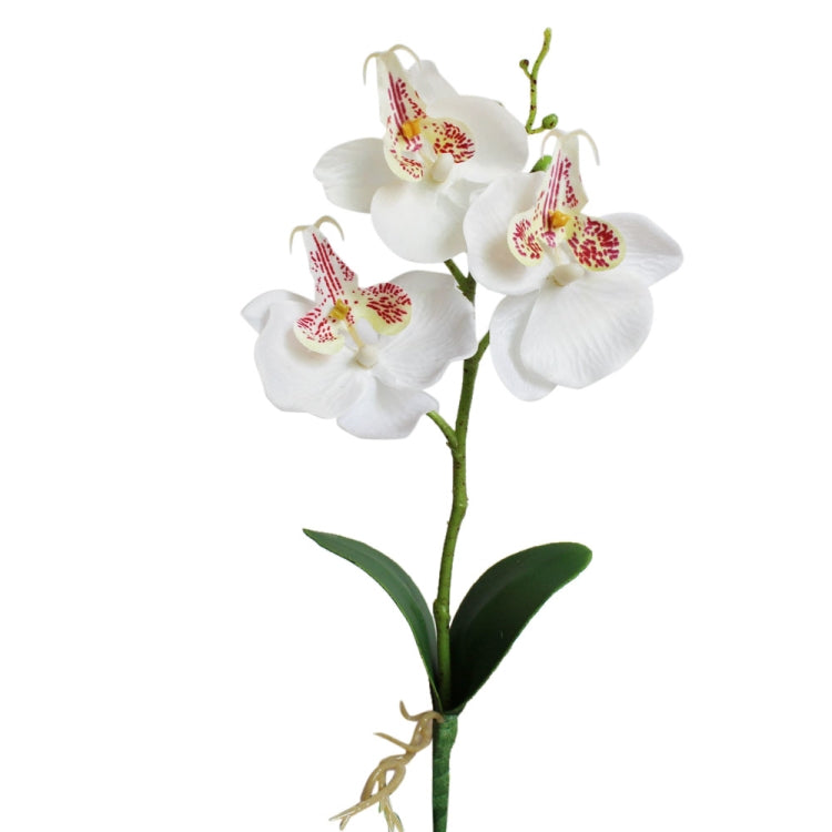 White faux Phalaenopsis orchid with red-speckled centers in a white round pot