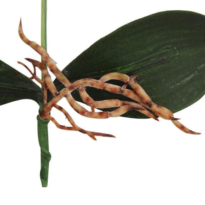 Faux orchid roots and brown tendrils on green leaves