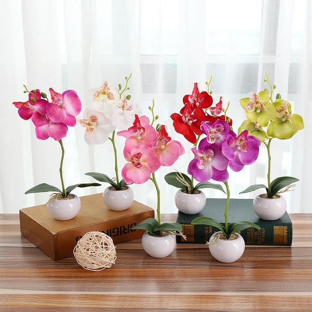 Assorted faux Phalaenopsis orchids in white round pots—pink, purple, red, and green
