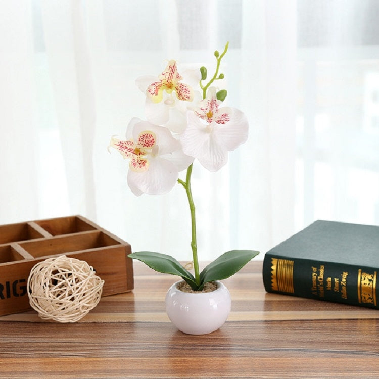 White faux Phalaenopsis orchid with pink-speckled centers in a white round pot