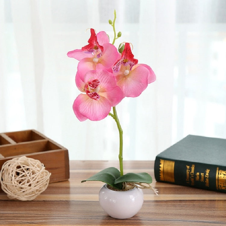 Pink faux Phalaenopsis orchid in a white round pot with green leaves