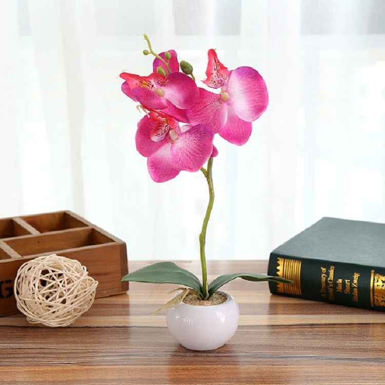 Magenta faux Phalaenopsis orchid in a white round pot with green leaves