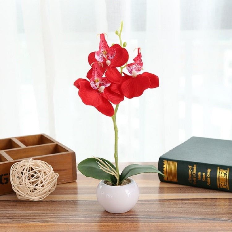 Red faux Phalaenopsis orchid in a white round pot with green leaves