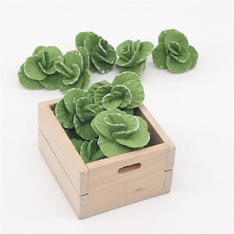 Mini cabbage toy pieces arranged in wooden box, green leaf rosettes