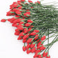 Mini rose stem toy set with densely packed red flowers and green leaves