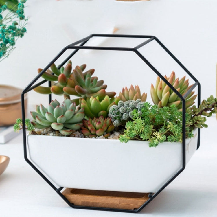 Octagonal wall planter table with mixed succulents in a white tray and black frame
