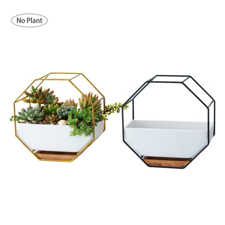 Octagonal wall planter tables, one gold and one black, with white trays (no plants)
